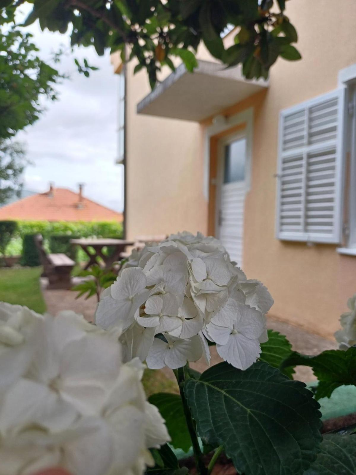 Apartments For Friends Trebinje Ngoại thất bức ảnh
