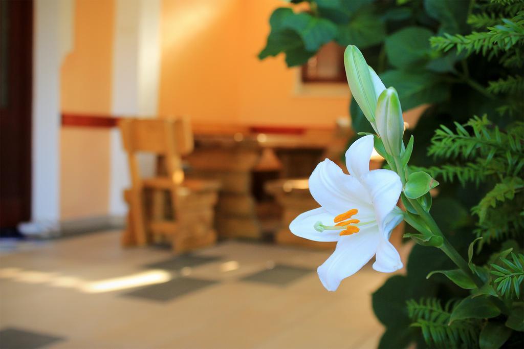 Apartments For Friends Trebinje Ngoại thất bức ảnh